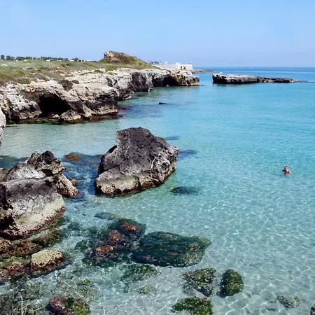 Villa Don Cosimo Tra Ulivi Secolari *