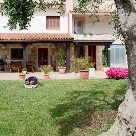Don Cosimo Tra Ulivi Secolari Villa